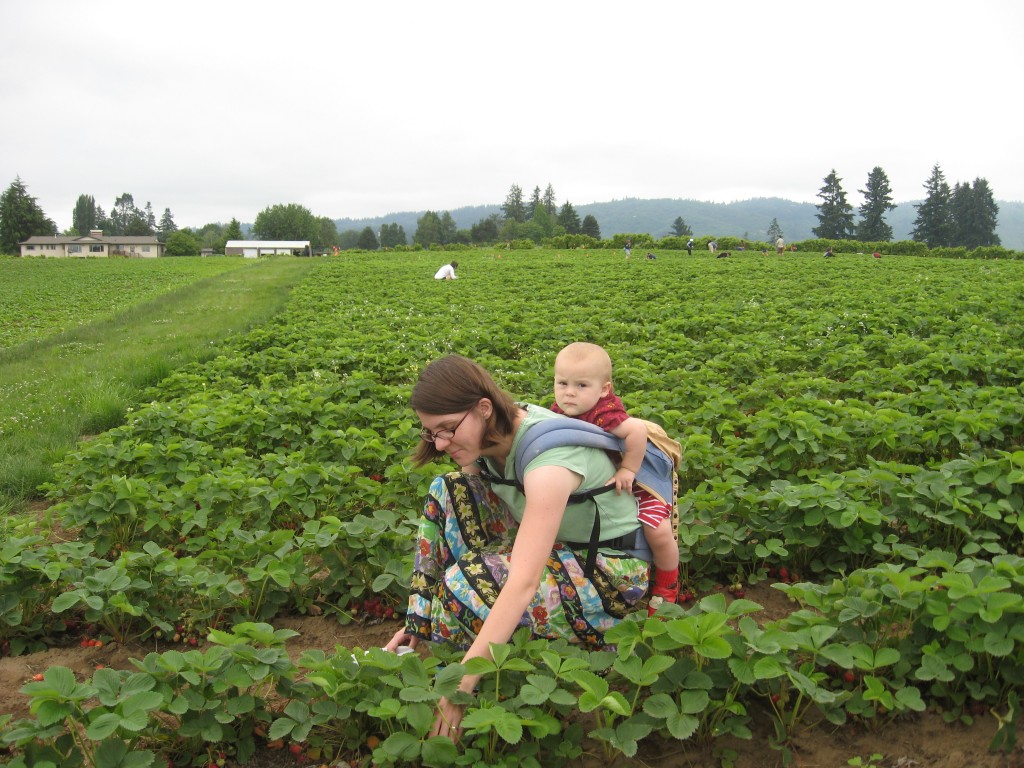 Sauvie Island Strawberries Parkrose Permaculture