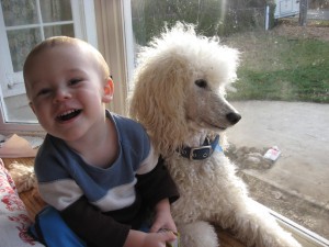 Tum Tum and Brenna watching squirrels in the yard this morning.  