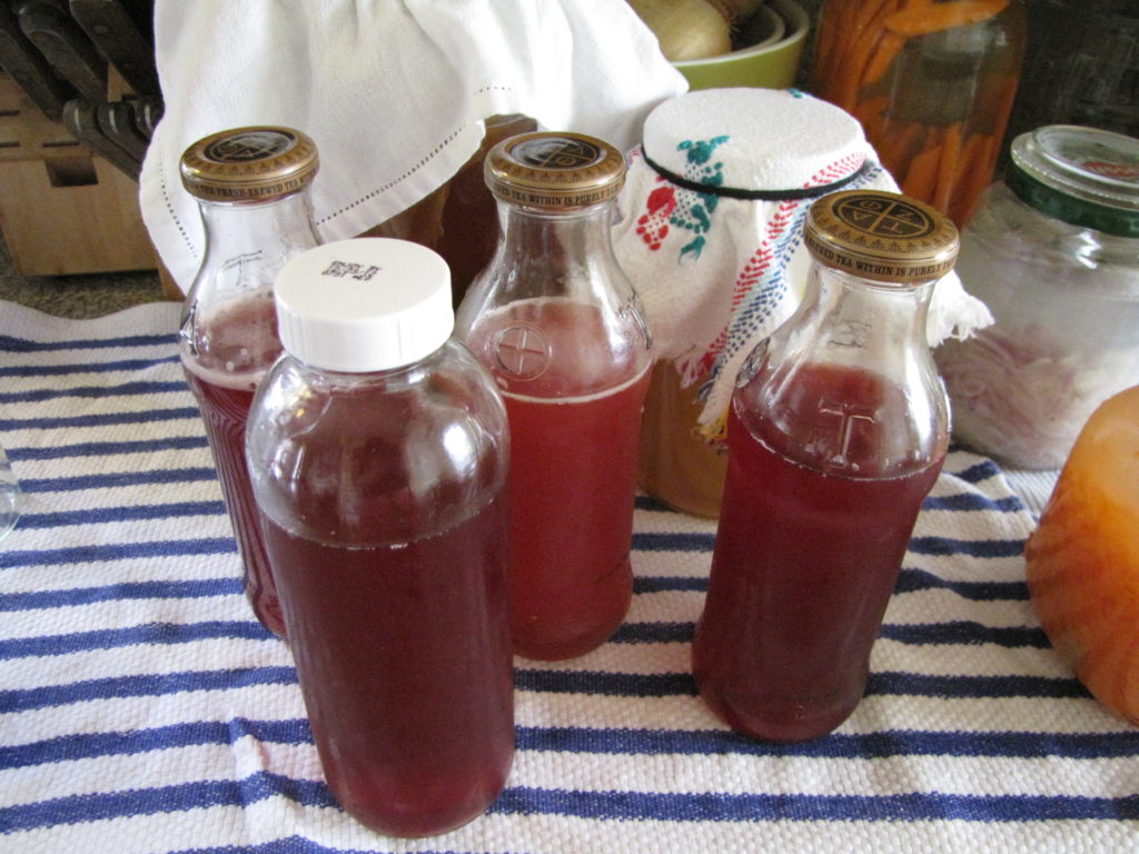 Elderberry Kombucha Parkrose Permaculture