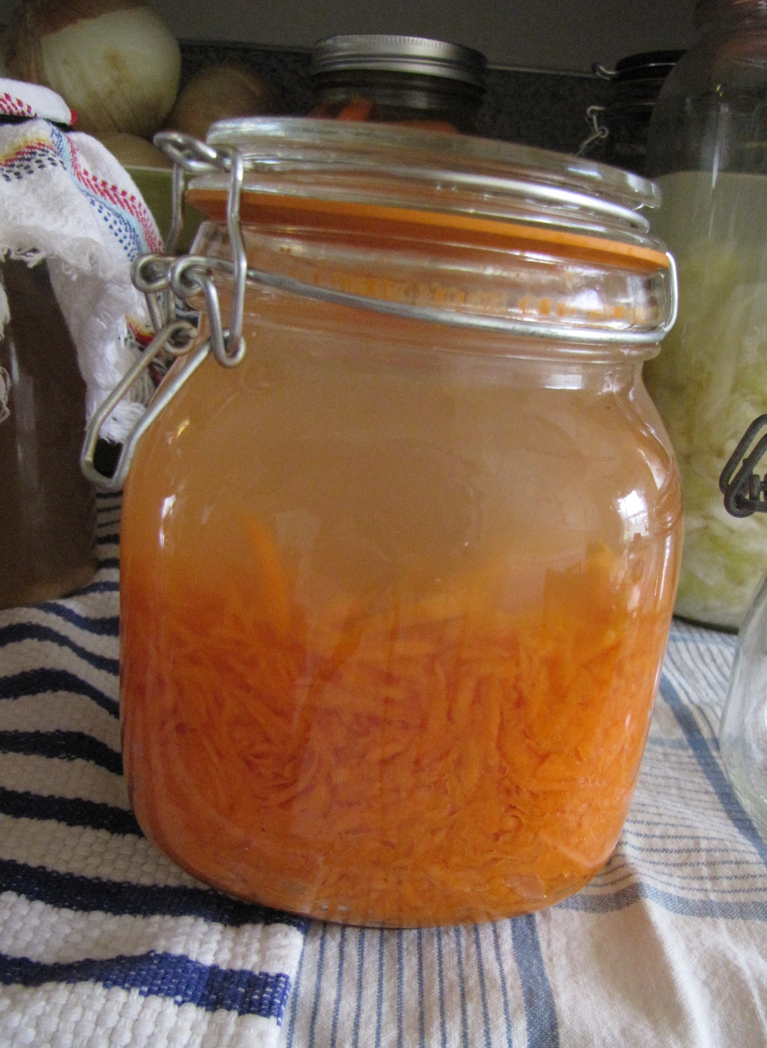 lactofermented shredded ginger carrots.  Recipe from Cultures for Health.  The flavor of the carrots comes through pure and delicious, the bite of ginger is the perfect complement to the saltiness of the brine and tanginess of the lactic acid.  