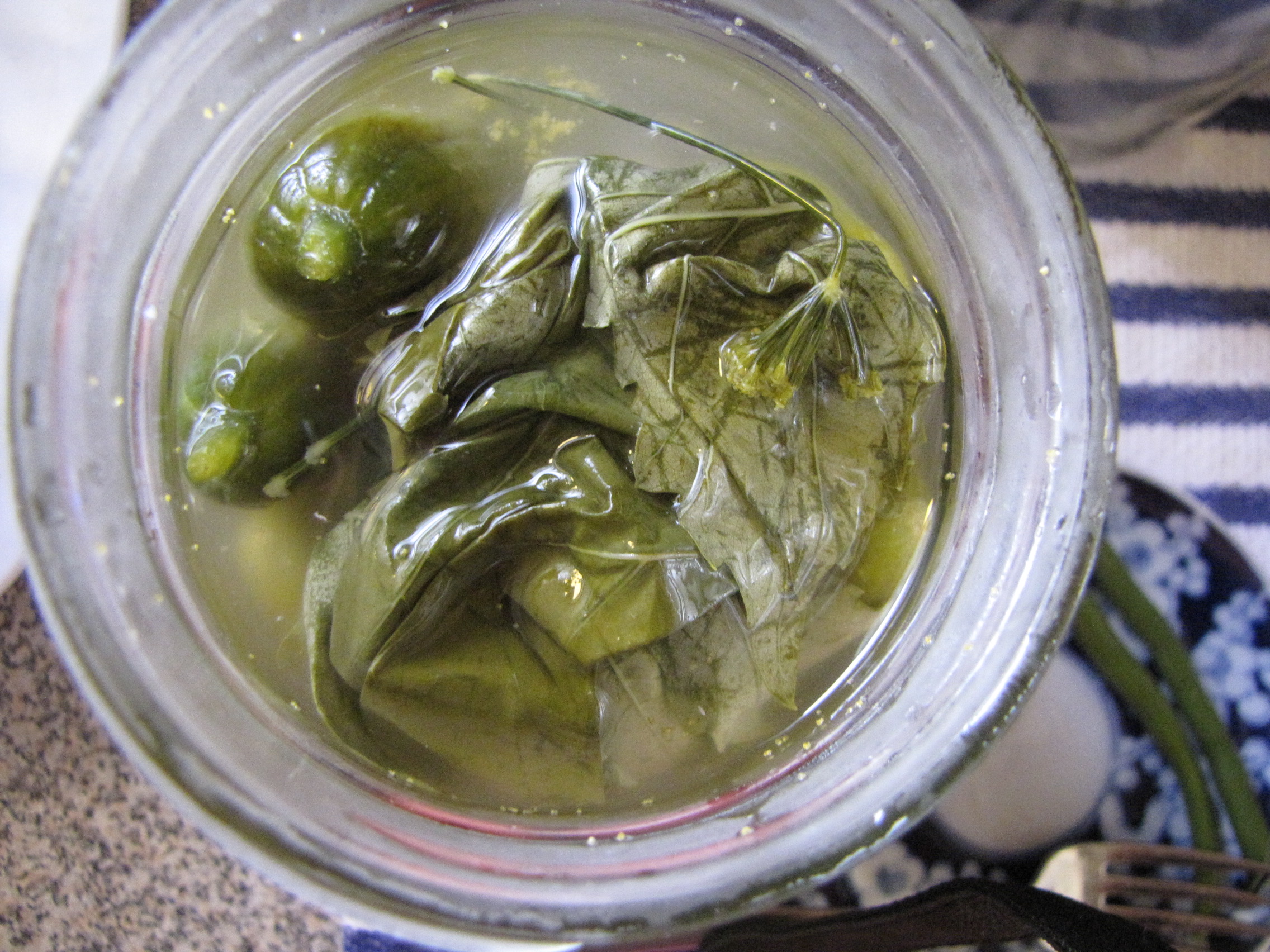 lactofermented dill pickles.  These are half-sours, with grape leaves floating on top to keep the pickles crisp. 