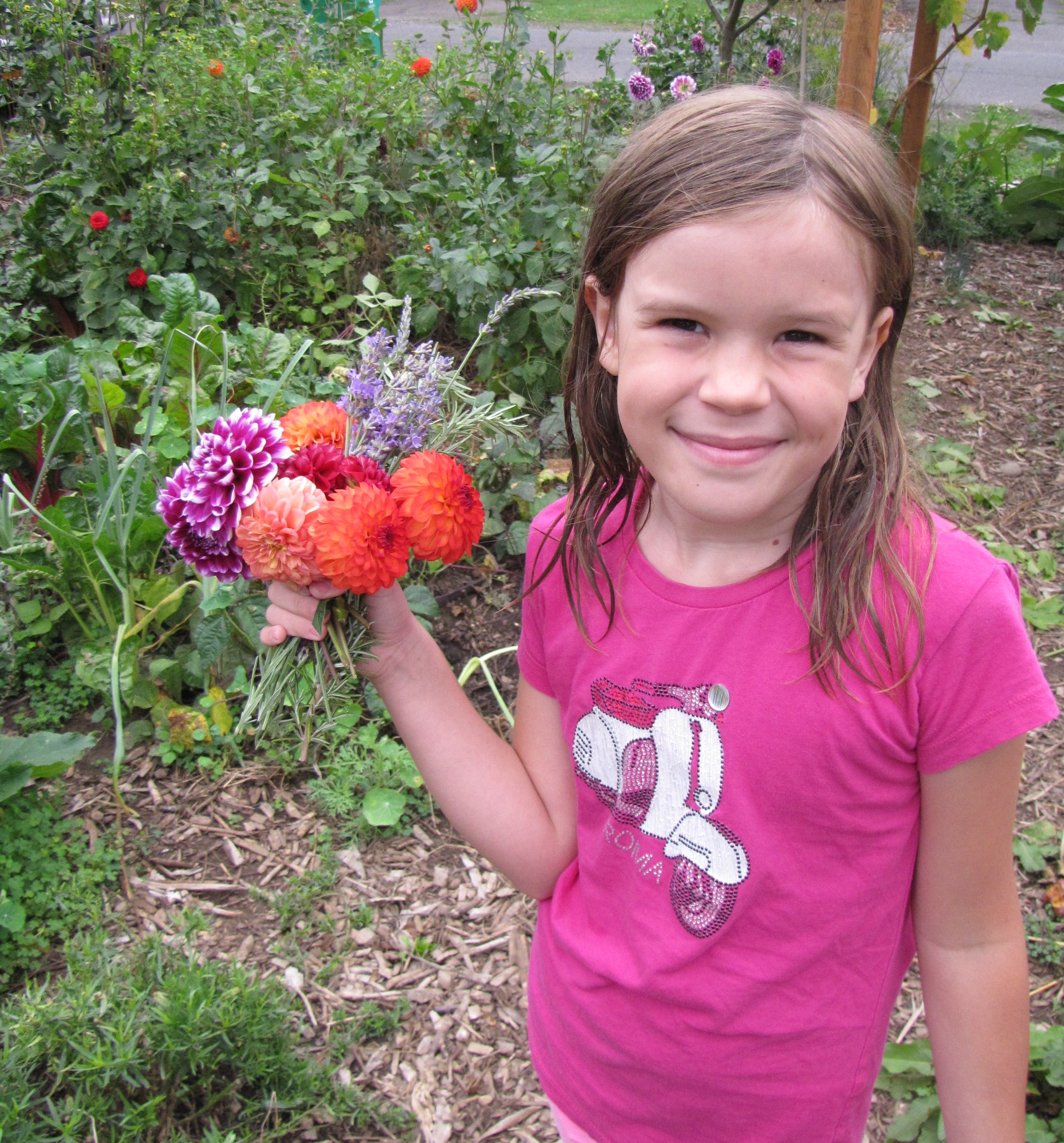 Bea picking dahlias and lavender, both of which are still producing abundantly